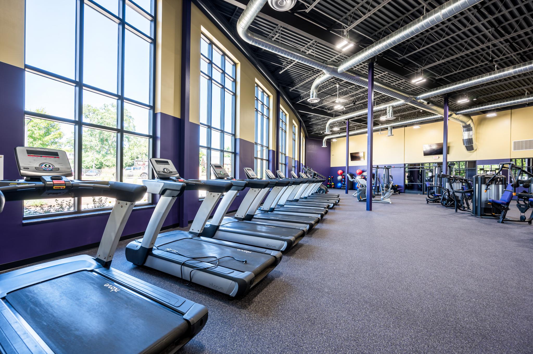 image of treadmills lined along large windows